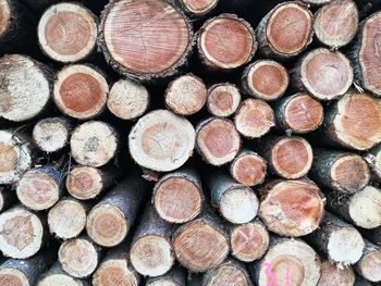 Full frame shot of logs