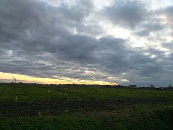 Scenic view of field against sky