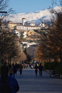 People walking on road in city