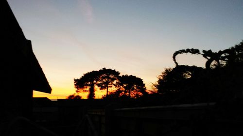 Low angle view of silhouette trees against sky at sunset