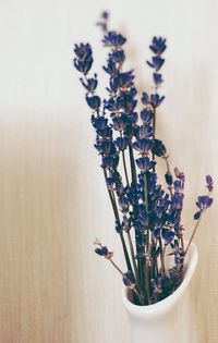 High angle view of flowering plant in vase on table