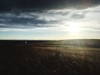 Scenic view of field against sky during sunset