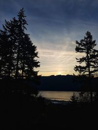Silhouette trees by lake against sky during sunset