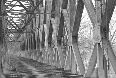 View of bridge in forest