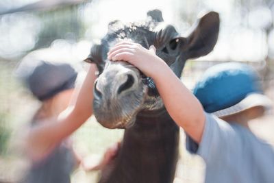Close-up of hand holding finger
