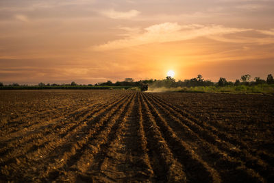 Scenic view of agricultural field against sky during sunset