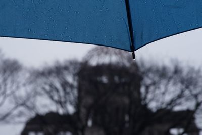 Close-up of wet leaf during rainy season