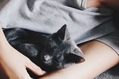 Low section of person with cat lying on bed