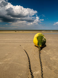 Yellow buoy covered with algae tied at the beach waiting for the next high tide