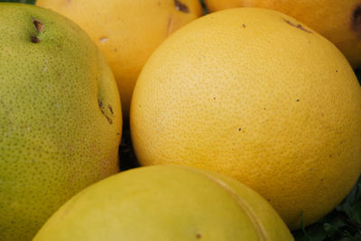 Close-up of oranges