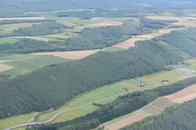 Aerial view of agricultural field