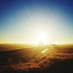 Scenic view of field against clear sky during sunset