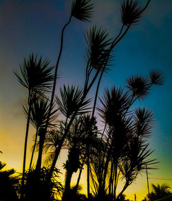 Silhouette palm trees against sky during sunset