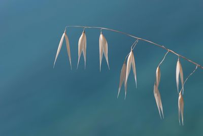 Low angle view of hanging against sky