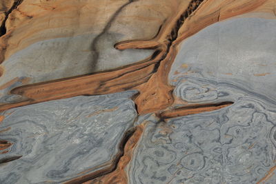 Full frame shot of rock formation at point lobos state reserve