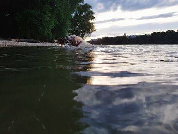 Man swimming in sea against sky