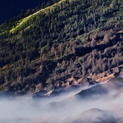 Scenic view of tree mountains against sky