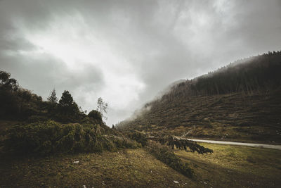 Road amidst trees on field against sky