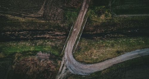 Aerial view of forest