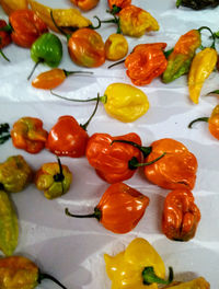 Close-up of fruits