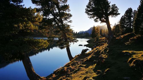 Reflection of trees in lake against sky during autumn