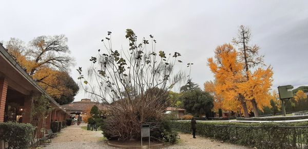 Footpath amidst trees and buildings against sky during autumn