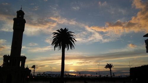 Silhouette of palm trees at sunset