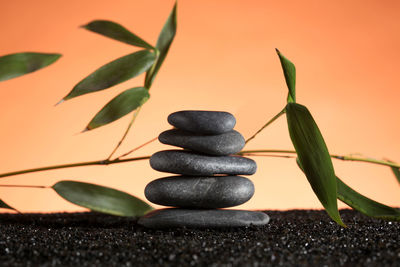 Close-up of stones on rock