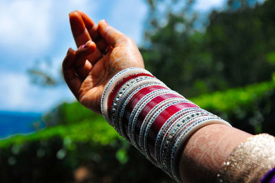 Close-up of hand holding plant