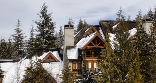 Houses by trees on snow covered building against sky