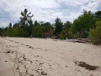 Scenic view of beach against sky