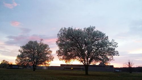 Scenic view of field against cloudy sky