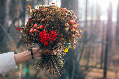 Person holding red berries on plant