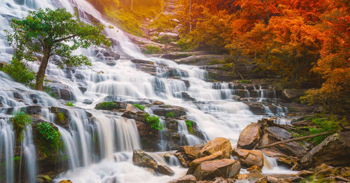 Scenic view of waterfall in forest during autumn