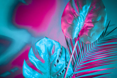 Close-up of leaves against blue background