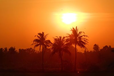 Silhouette palm trees against orange sky