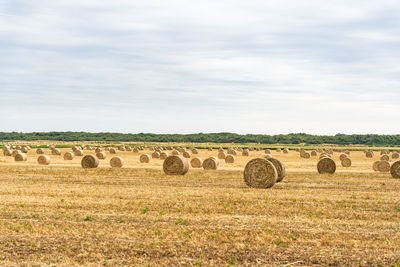 Hay bales on field against sky