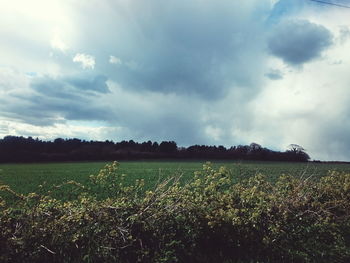 Scenic view of field against cloudy sky