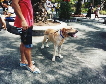 Low section of a man with dog