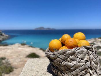 High angle view of fruits on beach against clear sky
