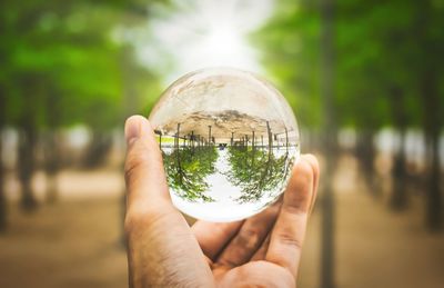 Close-up of person holding crystal ball in forest