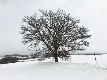 Bare tree on snow covered landscape against sky