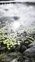 Close-up of turtle against sky