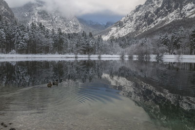 Scenic view of lake by trees against sky