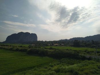 Scenic view of landscape against sky