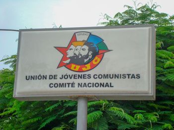 Close-up of road sign against plants