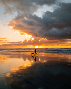 Woman and dog running on the beach with reflection at sunset