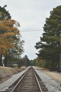 Railroad tracks by trees against sky