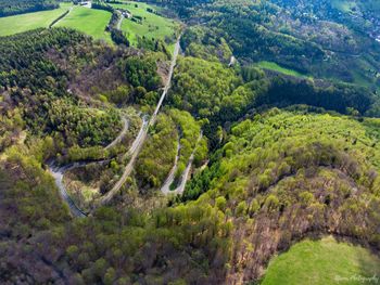 High angle view of road amidst trees in forest