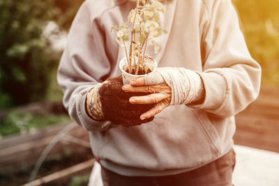 Female bandaged elderly hands of senior woman holding a recycled plastic cup with seedlings